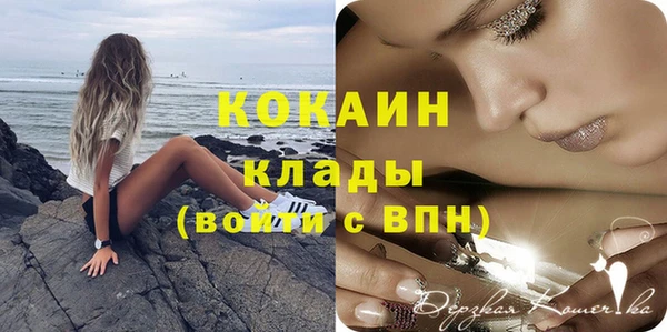 твердый Козловка