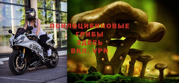 2c-b Костерёво