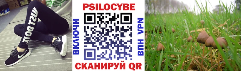 Псилоцибиновые грибы прущие грибы  shop Telegram  Красный Холм 